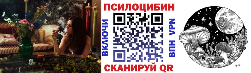 где продают наркотики Моздок Галлюциногенные грибы прущие грибы
